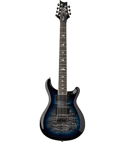 Amazon.com: PRS SE Mark Holcomb SVN Electric Guitar, Holcomb Blue